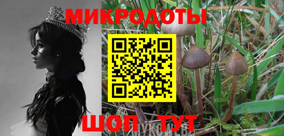 Галлюциногенные грибы Magic Shrooms  Вход с VPN  Волгоград 